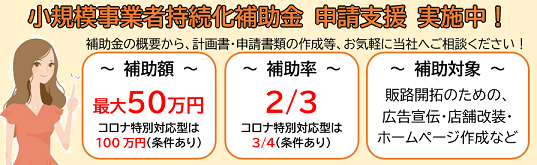 小規模事業者持続化補助金 申請支援 実施中